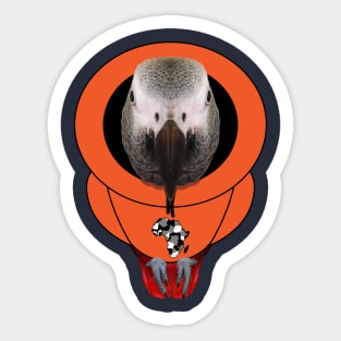 African Grey Hoodie Sticker